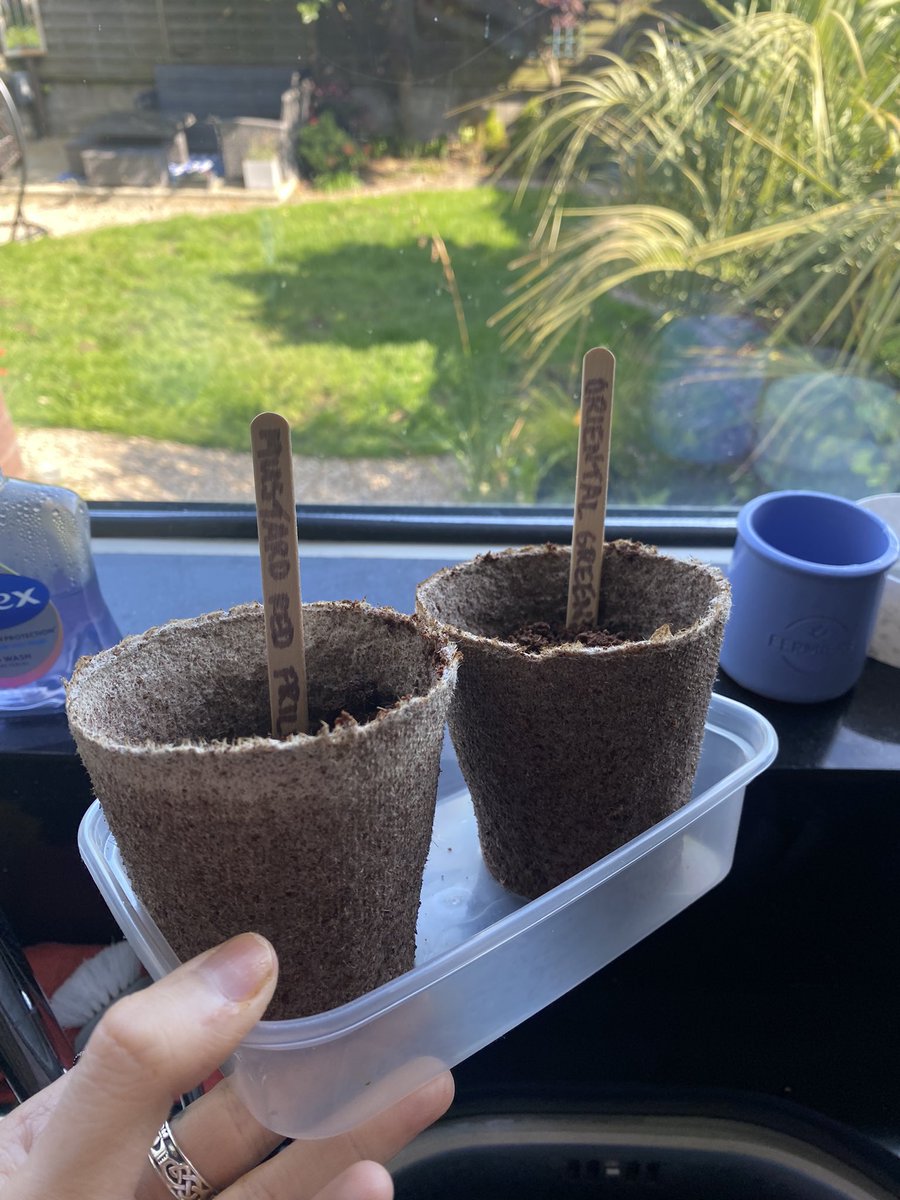 batchfromscratc's tweet photo. Grow your Own Salad Box! Super excited for this one 🙂 @giyireland 

You can get these in @SuperValuIRL , GIY is a wonderful, impactful social enterprise 🫧 #GIYIreland #GrowitYourself https://t.co/AsCG7hs8g9