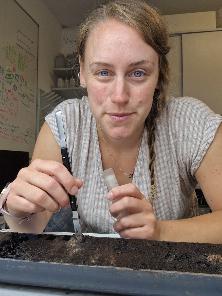 Preseli Pollen Project tweet media