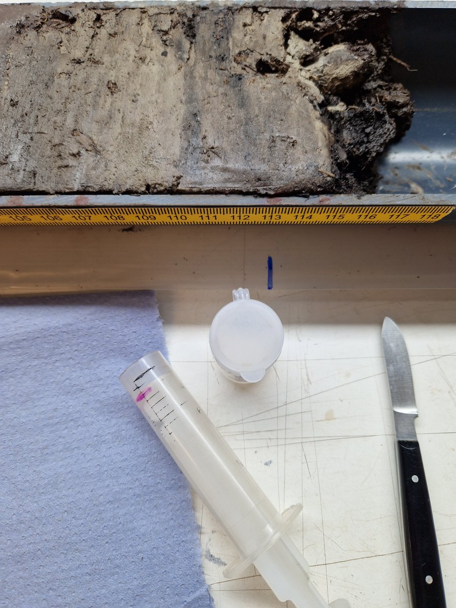 Preseli Pollen Project tweet media