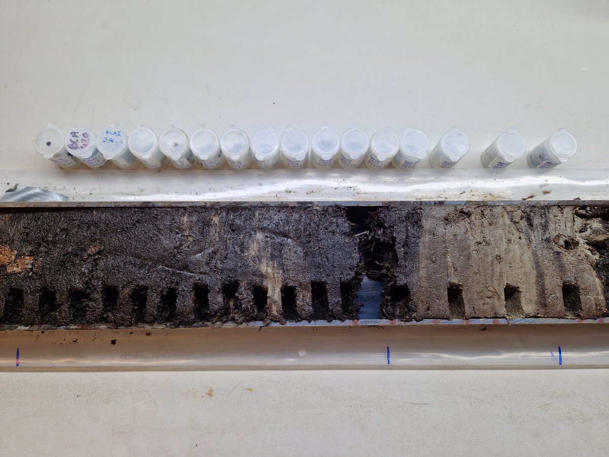 Preseli Pollen Project tweet media