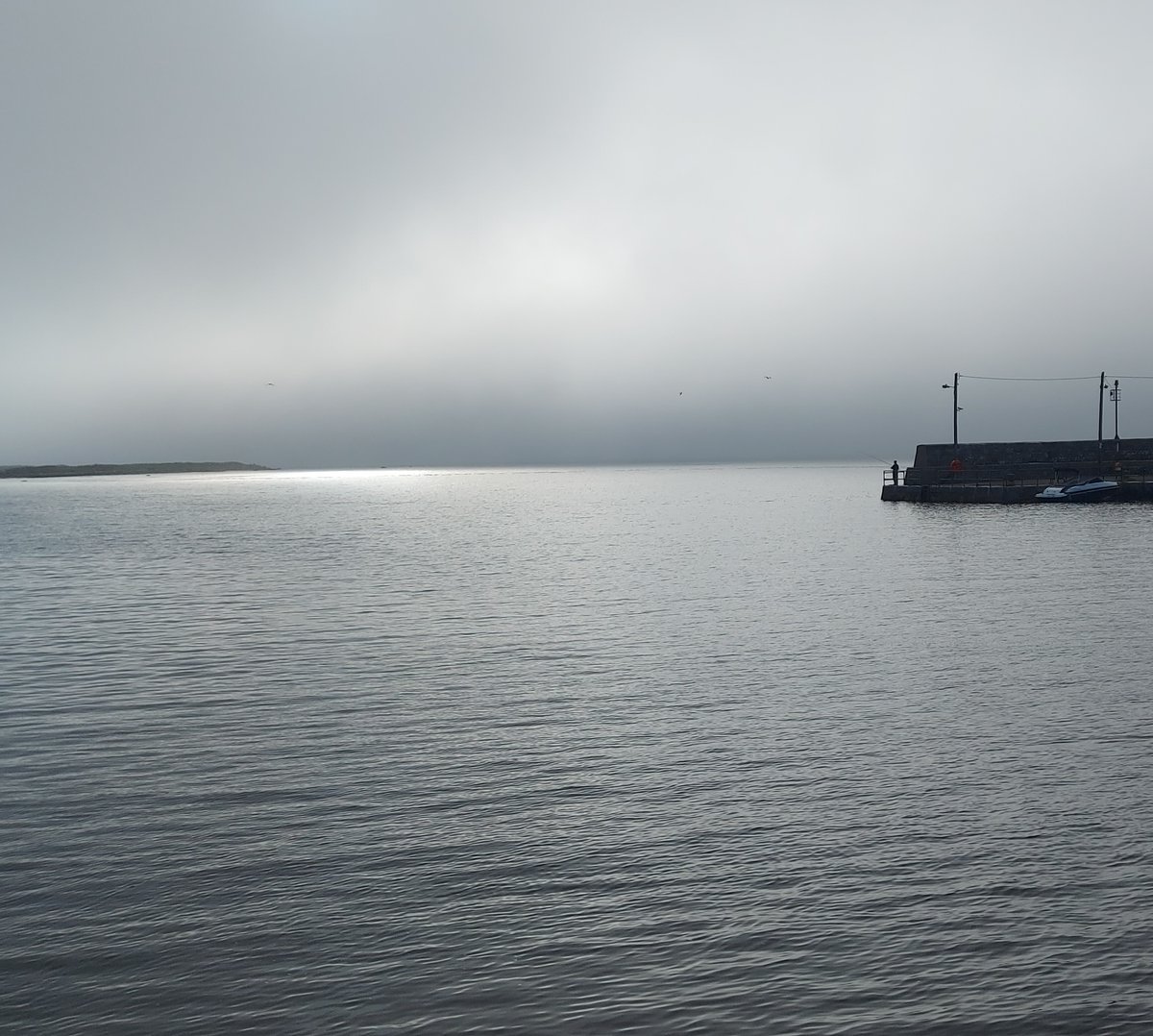 MarineInst's tweet photo. Early morning fishing for #Mackeral #Galway. Good place to catch mackerel is off piers and rocks, both of which are already in deeper water. #fishfordinner https://t.co/xjMQi0DcCx