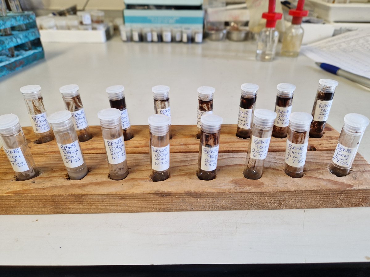 Preseli Pollen Project tweet media