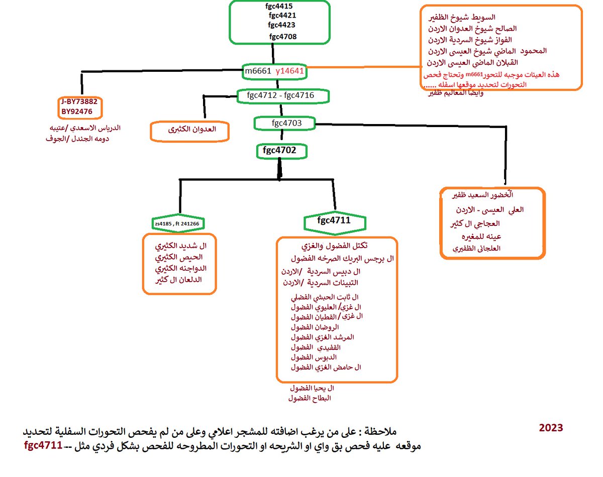 Abu Mohamed Alsardy tweet media