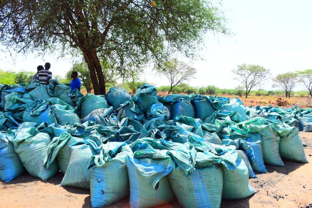 On Friday, the Kenyan Kilifi team, on its trip across the country to assess projects, explored innovative solutions in land rejuvenation at Salabani in Baringo County. Biochar lead @Mayieka_ engaged them in biochar production using the invasive weed Prosopis juliflora 🤞