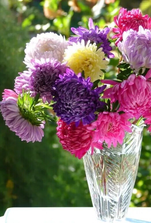 🌹🍁

...Пусть легко начинается новое...
Пусть удачно завершается начатое...)