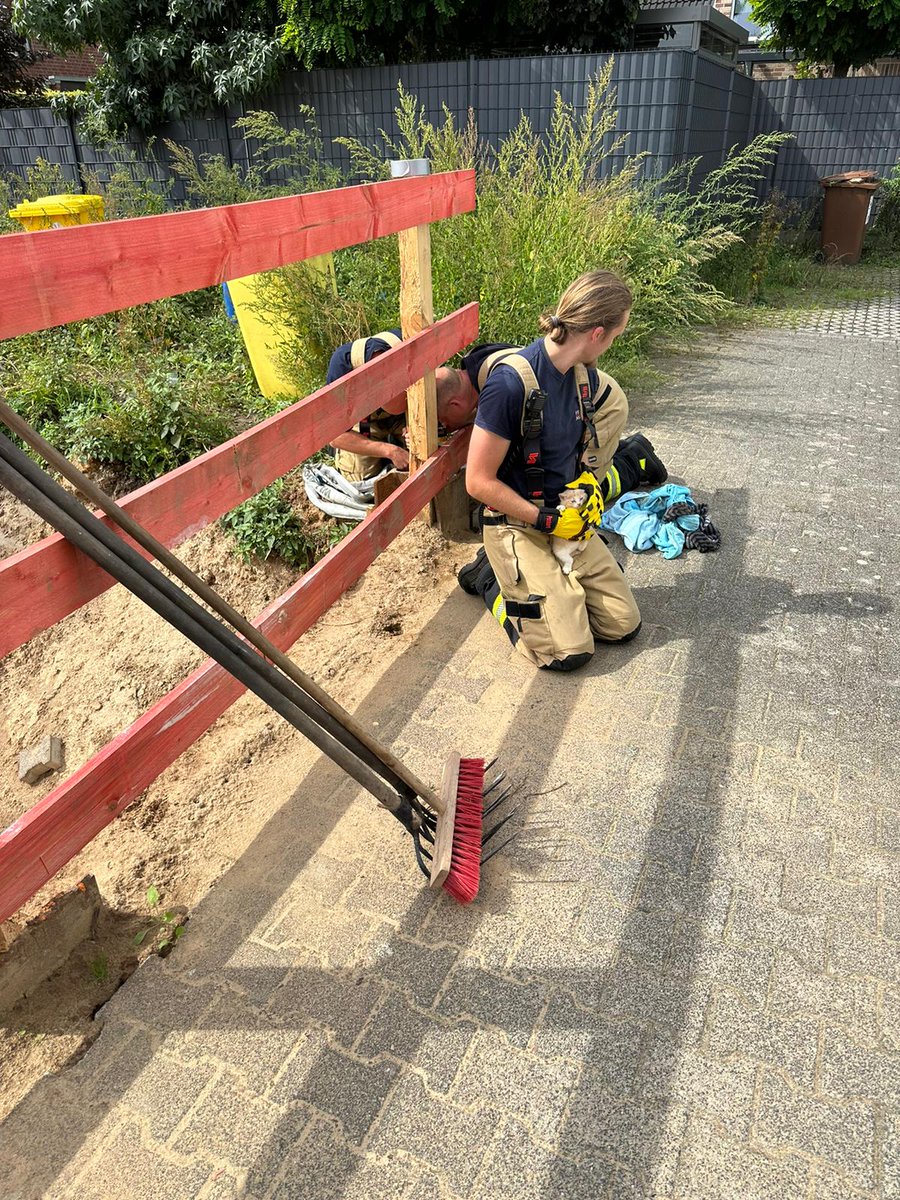 FWMeerbusch's tweet photo. @FWMeerbusch rettet zwei Katzen wohlbehalten aus einem 4m tiefen Schacht. Hier ist unser Bericht mit glücklichem Ausgang 👇
https://t.co/OLK7sqW1UU https://t.co/v8QogrPyOz