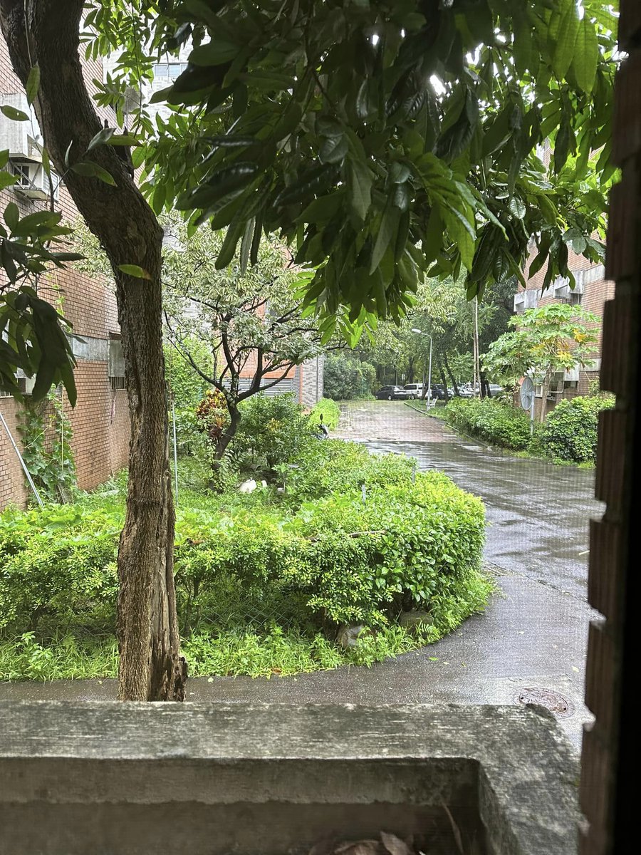 hong_ijin's tweet photo. The typhoon went by and I had a very Southern European weekend commenting on the book “이탈리아로 가는 길“ from #Chosun journalist Cho Gwi Dong at #사회정책연구회 and discussing welfare differences between Italy and Spain with Juan Carlos Triviño #PompeuFabra <3 https://t.co/HvP8b0T9RL