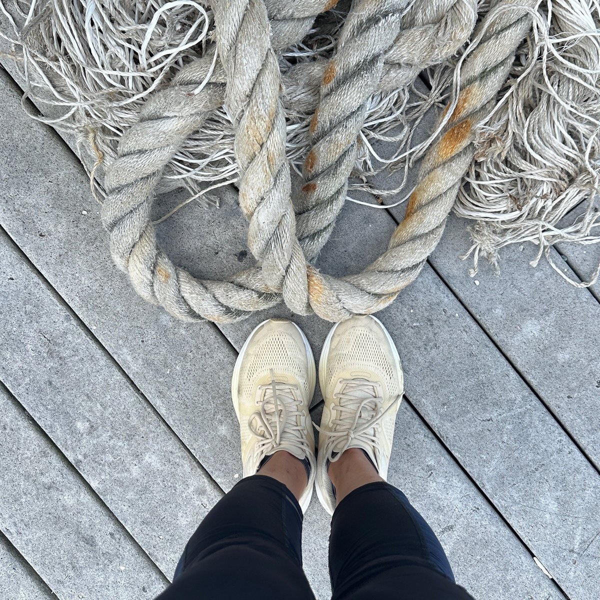 Path to 26.2 Miles tweet media