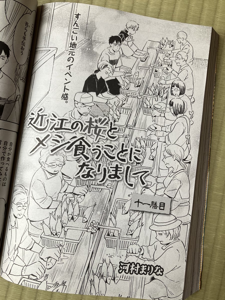 【#近江の桜とメシ食うことになりまして】 11膳目が9/5発売のコミックフラッパーに掲載中。夏の #ふなずし 漬け込み回🐡 2膳目でふなずしを「ヴォエッ」としていた幹太郎ですが果たして…?? ▼これまでの話: kawamuramarina.com/2022/10/0… ▼コミックス一巻発売中: