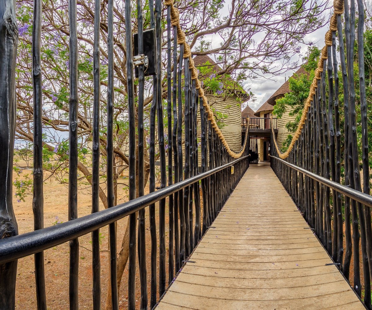 fika_afrika's tweet photo. Let's take a wild ride to the heart of Tsavo with this Madaraka Express (SGR) package.

★4 Days and 3 Nights
★Salt Lick Safari Lodge
★SGR Train Package

👉Per Couple/2 Adults - Ksh68,700
👉Solo traveller - Ksh48,250

📧Uliza@fika-africa.com
☎️Call/Whatsapp: +254 790 122 206 https://t.co/rxHJXnPaDE