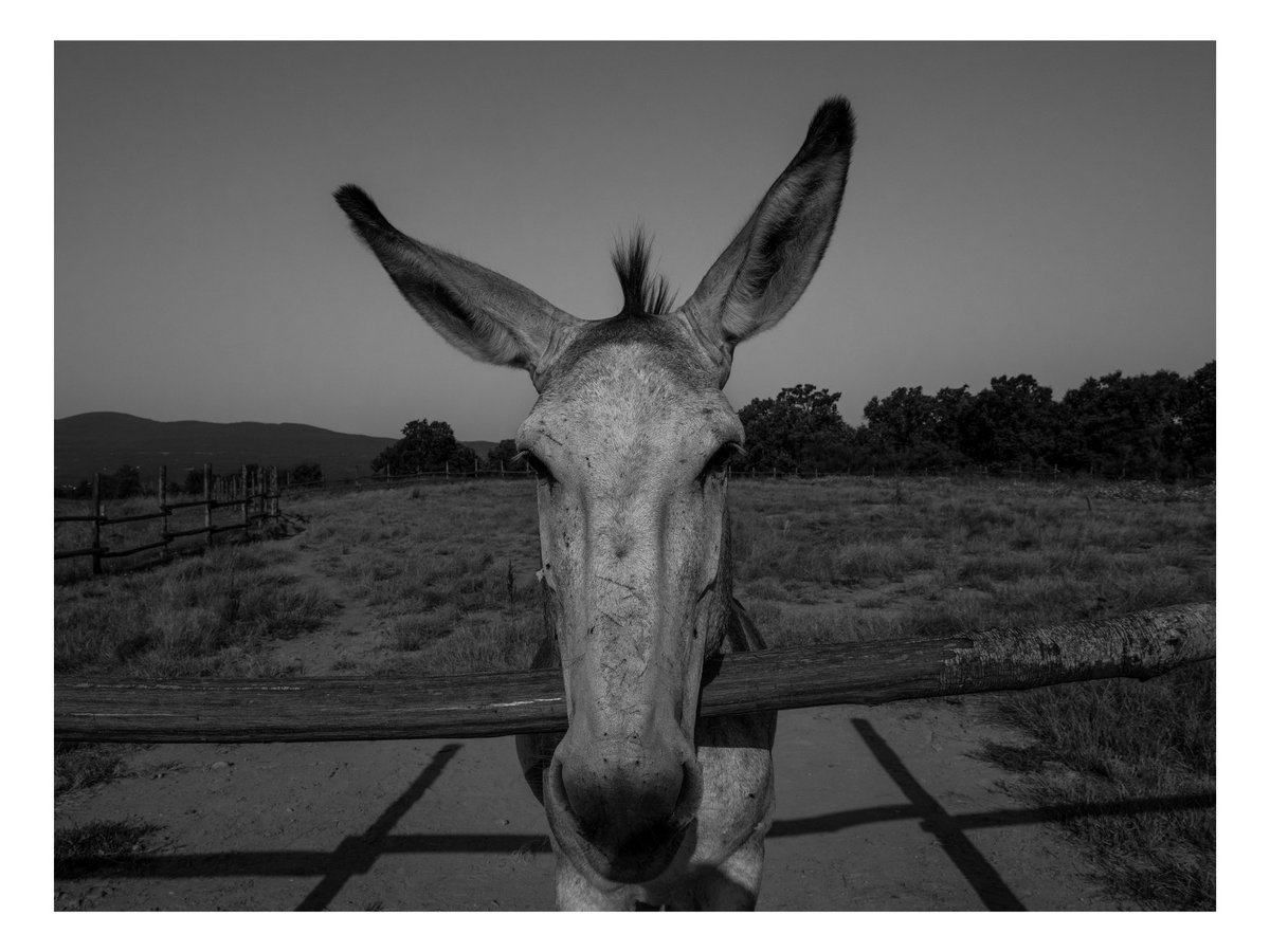 Hello, my name is Ernesto
Photo by #mesh27