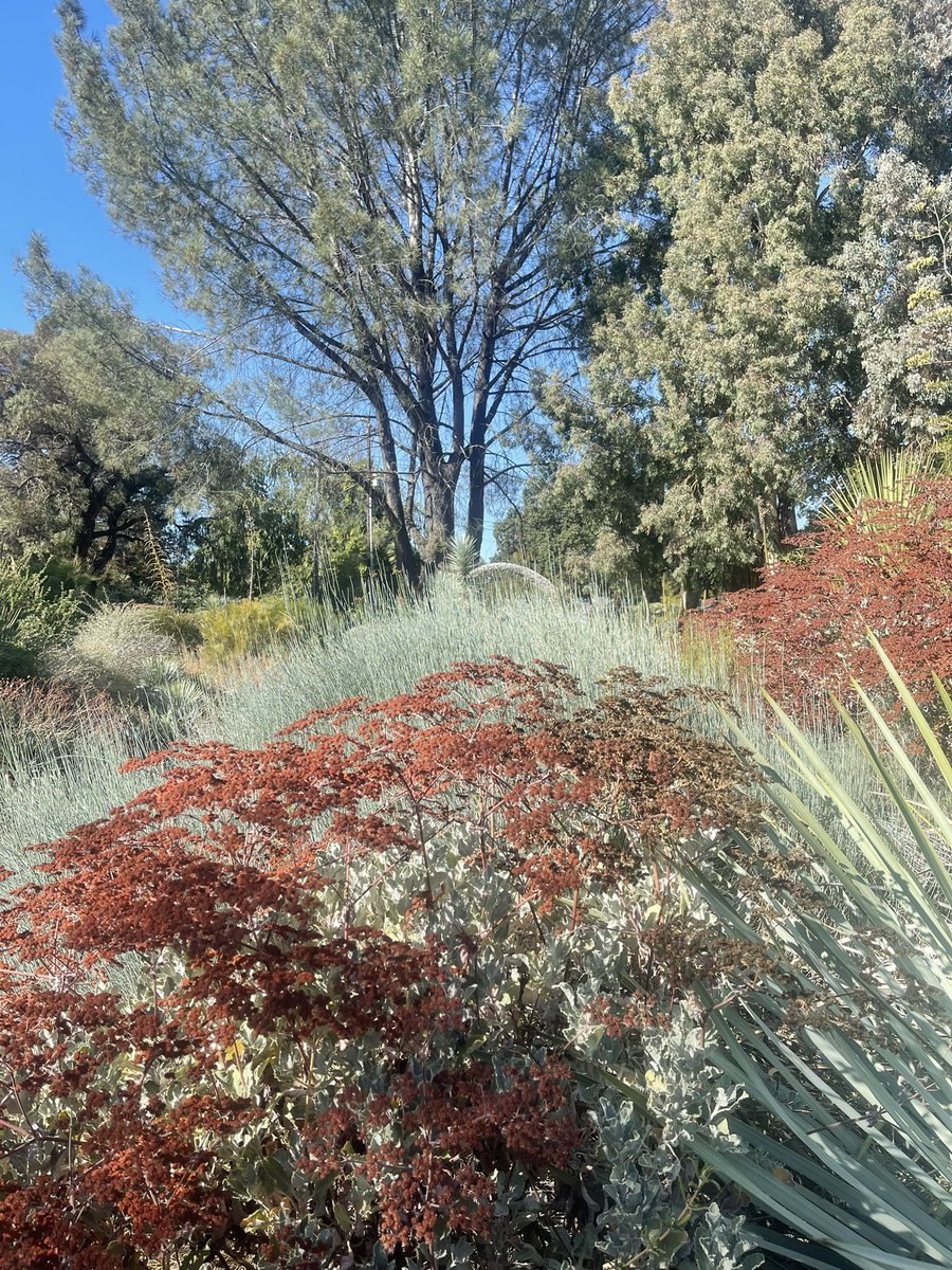 Dave Cuzner tweet media