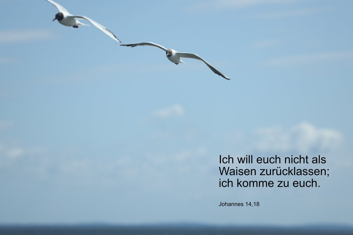 Heute ich übergebe ich die Öffentlichkeitsarbeit des Kirchenkreises meiner Nachfolgerin Saike Görtzen. Impulse zu den Tageslosungen findet ihr weiterhin auf Instagram und Facebook.

Bleibt mir fein gesegnet! Danke für alles Schöne! Guten Morgen miteinander! Eure Inke Raabe