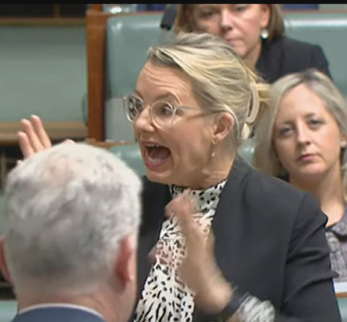 JulianAndrew63's tweet photo. Sussan Ley gets herself kicked out of question time yet again for constant interjecting and then abuse of standing orders, while playing up to her pharmacy guild friends in the gallery. 

Seriously, how much do we pay her and why? https://t.co/gj2vgsVVwD