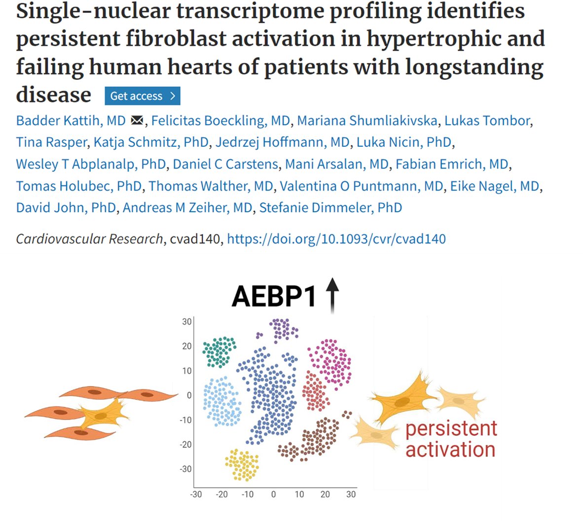Stefanie Dimmeler (@stefaniedimmel1) on Twitter photo Happy to present our recent publication by <a href="/BadderKattih/">Badder Kattih</a> showing consistent fibroblast activation marked by AEBP1 in human heart failure. More details regarding the function and the use of AEBP1 as biomarker can be found here doi.org/10.1093/cvr/cv…. Thanks to the entire team!🥳 Happy to present our recent publication by <a href="/BadderKattih/">Badder Kattih</a> showing consistent fibroblast activation marked by AEBP1 in human heart failure. More details regarding the function and the use of AEBP1 as biomarker can be found here doi.org/10.1093/cvr/cv…. Thanks to the entire team!🥳
