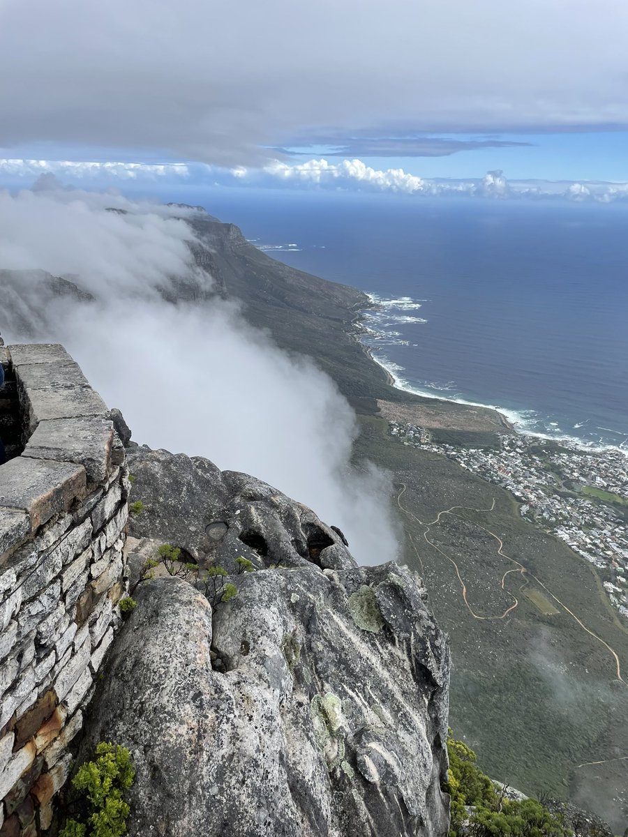 Deborah Eastwood tweet media