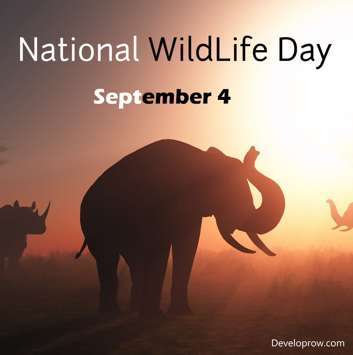developrow's tweet photo. Celebrating the Majestic Creatures that Define our Nations 🌍🦁🦅🐼 Happy National Animals Day! 🐾🇺🇸🇮🇳🇨🇦 #NationalAnimalsDay #WildlifeWonder https://t.co/vnImJ2LaeP
