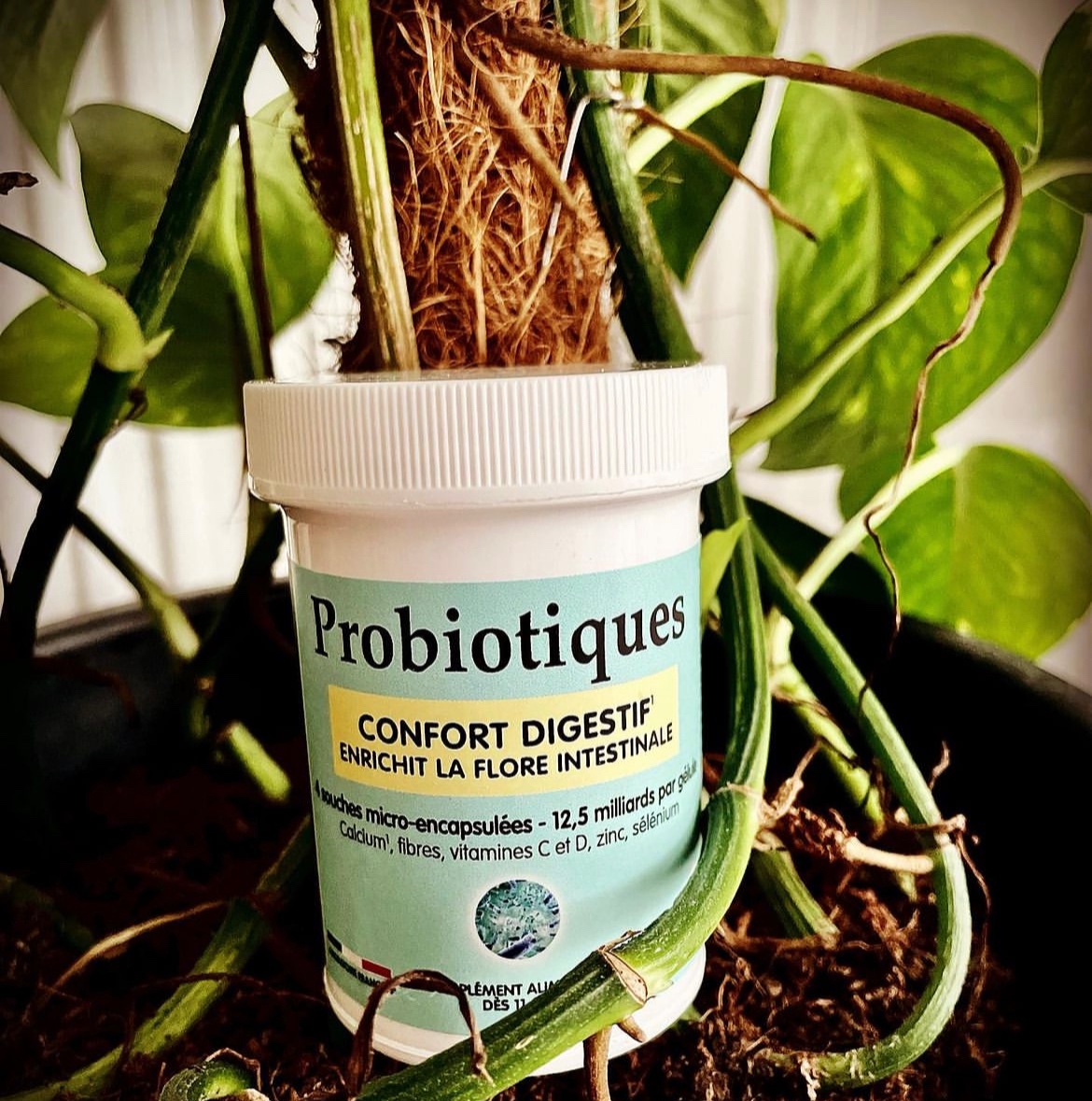 xxSweetyJen's tweet photo. Belloc Probiotiques, on l’aime pour plusieurs raisons : 
- Un produit à base d’ingrédients naturels 
- Sans effets secondaires 
- Qui a prouvé son efficacité dès 2/3 semaines d’utilisation 
- Son format bien pratique à transporter partout https://t.co/8JqUgVms97