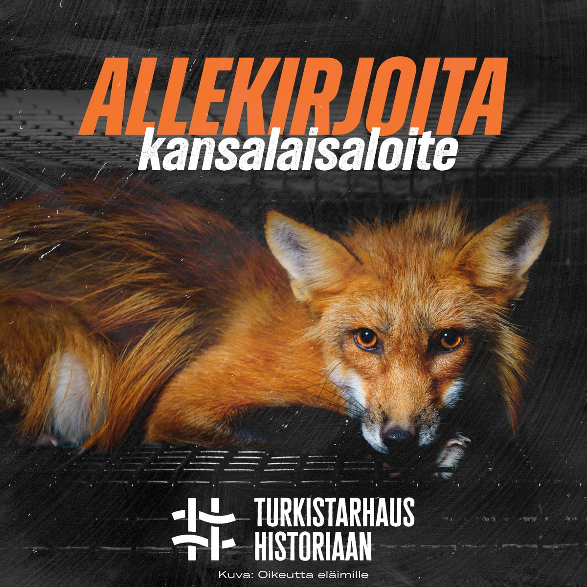 Kansalaisaloite turkistarhauksen kieltämiseksi on nyt julkaistu! Pyydän: allekirjoita ja jaa tätä tärkeää aloitetta eteenpäin: kansalaisaloite.fi/fi/aloite/12549