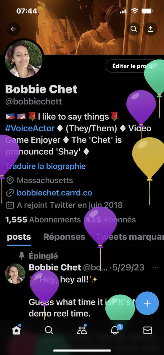 Bobbie Chet (@bobbiechett) / Posts / X