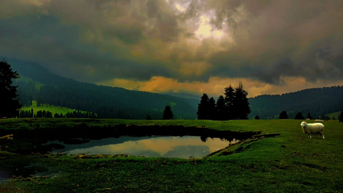 ariftheblogger's tweet photo. Chiranbal kulgam 📍
@DrBilalbhatIAS 
#Explorekulgam https://t.co/bALBU9WDCJ