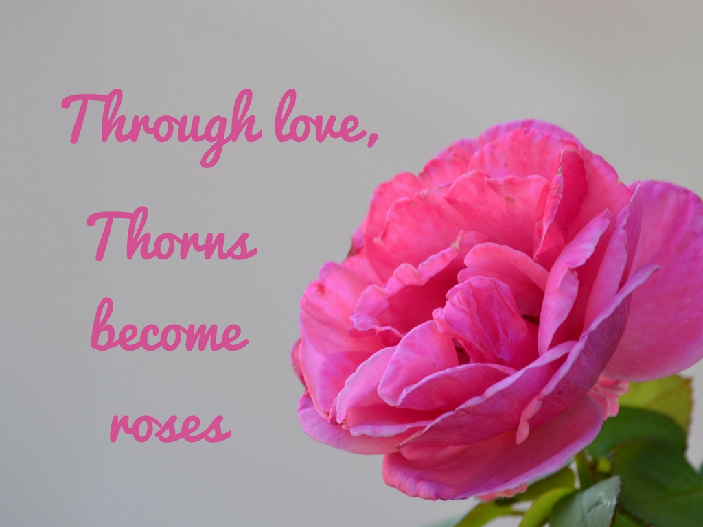 It is through love❤️💕💞, 

That thorns become roses🌹