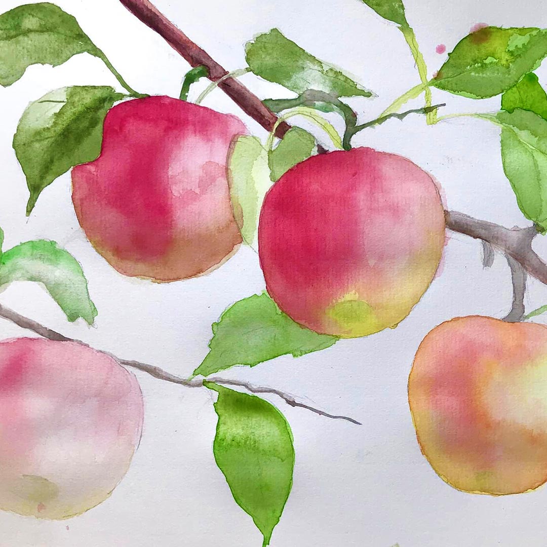 LondonArtCol's tweet photo. Introducing student Van Khanh-Nguyen, who created this beautiful painting of apples on a branch in watercolour!
#LondonArtCollege #WatercolorWonder #NatureInArt #ArtisticBrilliance #WatercolorMagic #ArtisticJourney https://t.co/3q9nhUGmp3