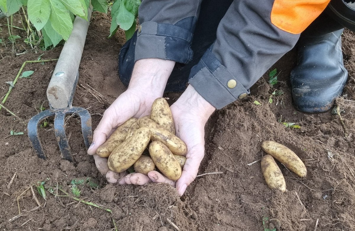 Sakari Alasuutari tweet media