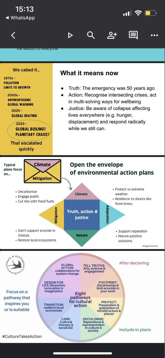 These are the slides I used yesterday at the #TogetherWeAct #CultureTakesAction assembly at @southbankcentre with @CultureDeclares How do we renew our declaration & what pathways for culture to take action in this intensifying emergency?