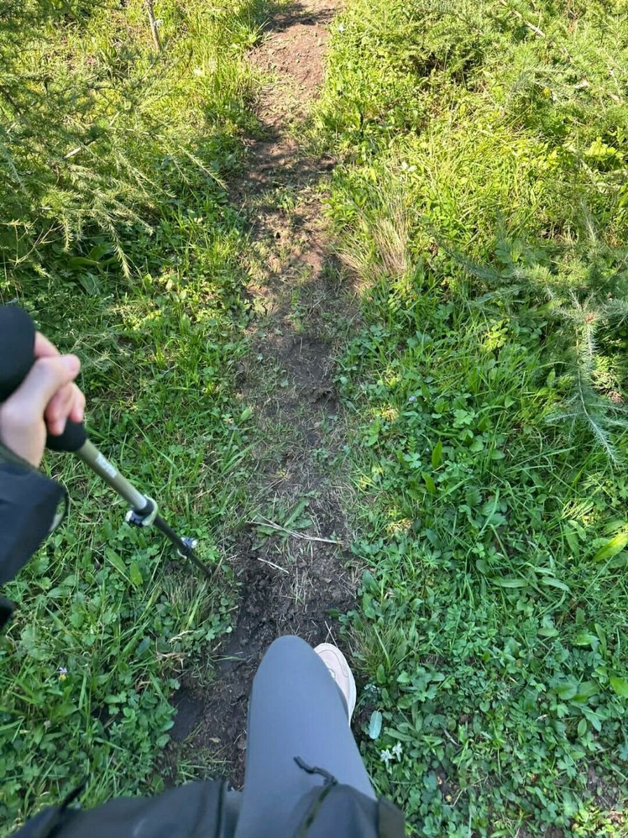 Go outdoors and feel the sounds of nature