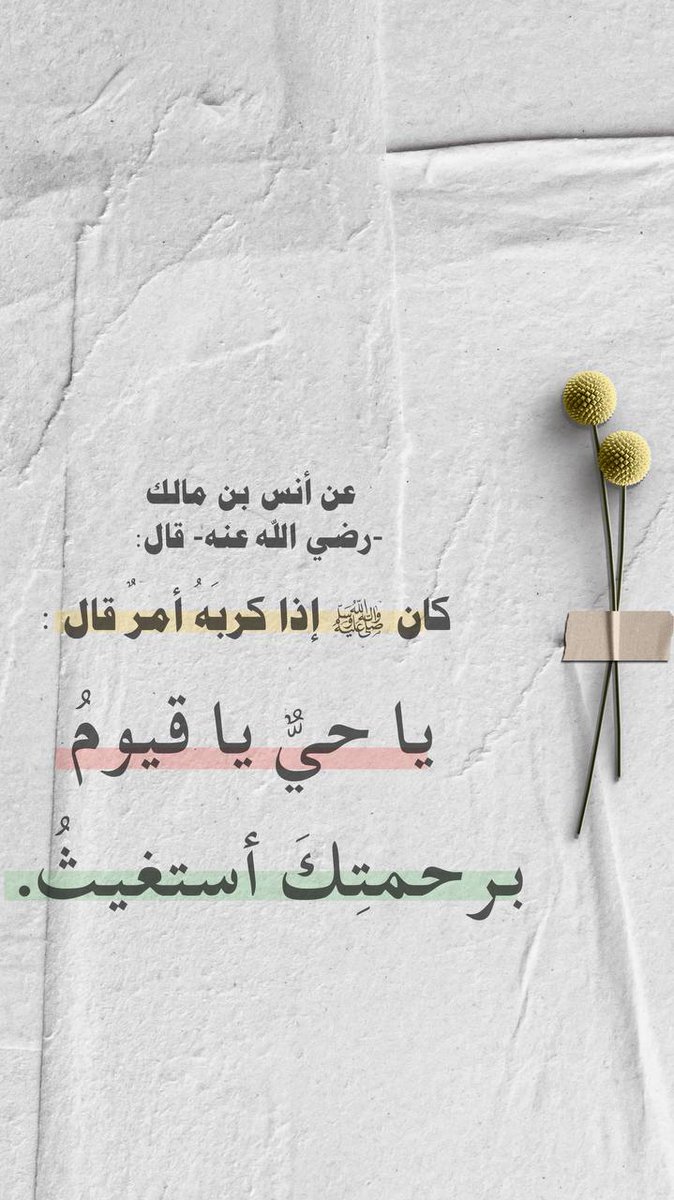 Mohammed El-sherif (@elitegroup1988) on Twitter photo 