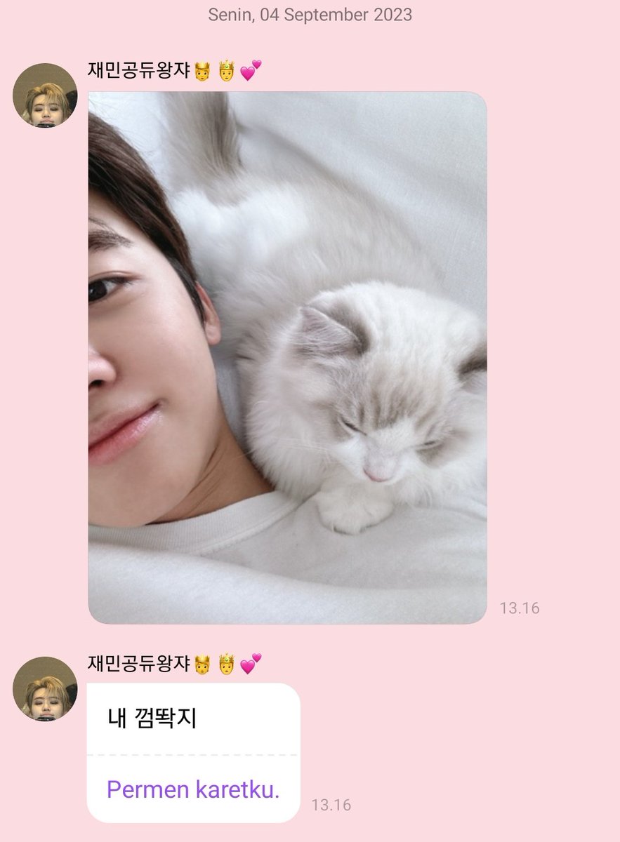 jungshasa's tweet image. NA JAEMIN LUCU BGT MW NANGIS😭😭😭😭😭😭😭😭😭😭😭😭😭😭