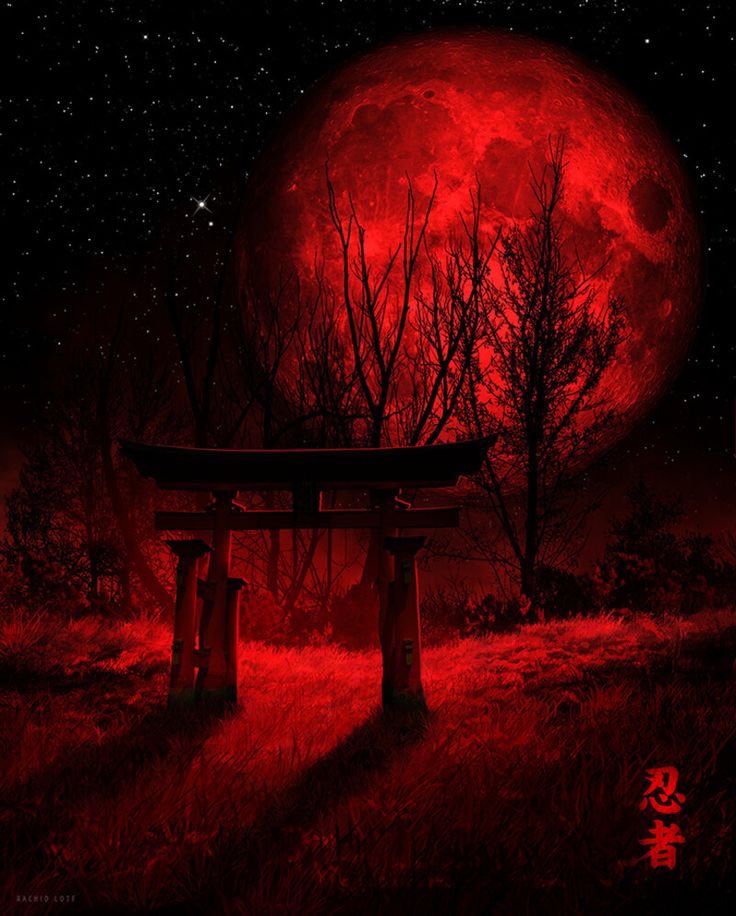 dajc_thoughts's tweet photo. COLOUR MY WORLD inโฆ VERMILLION
#colourmyworld #red #vermillion #passion #artistry #acreativelife #writing #art #moon #fullmoon #nature #midnight #japaneseinfluence https://t.co/ZCbpQcBuE7