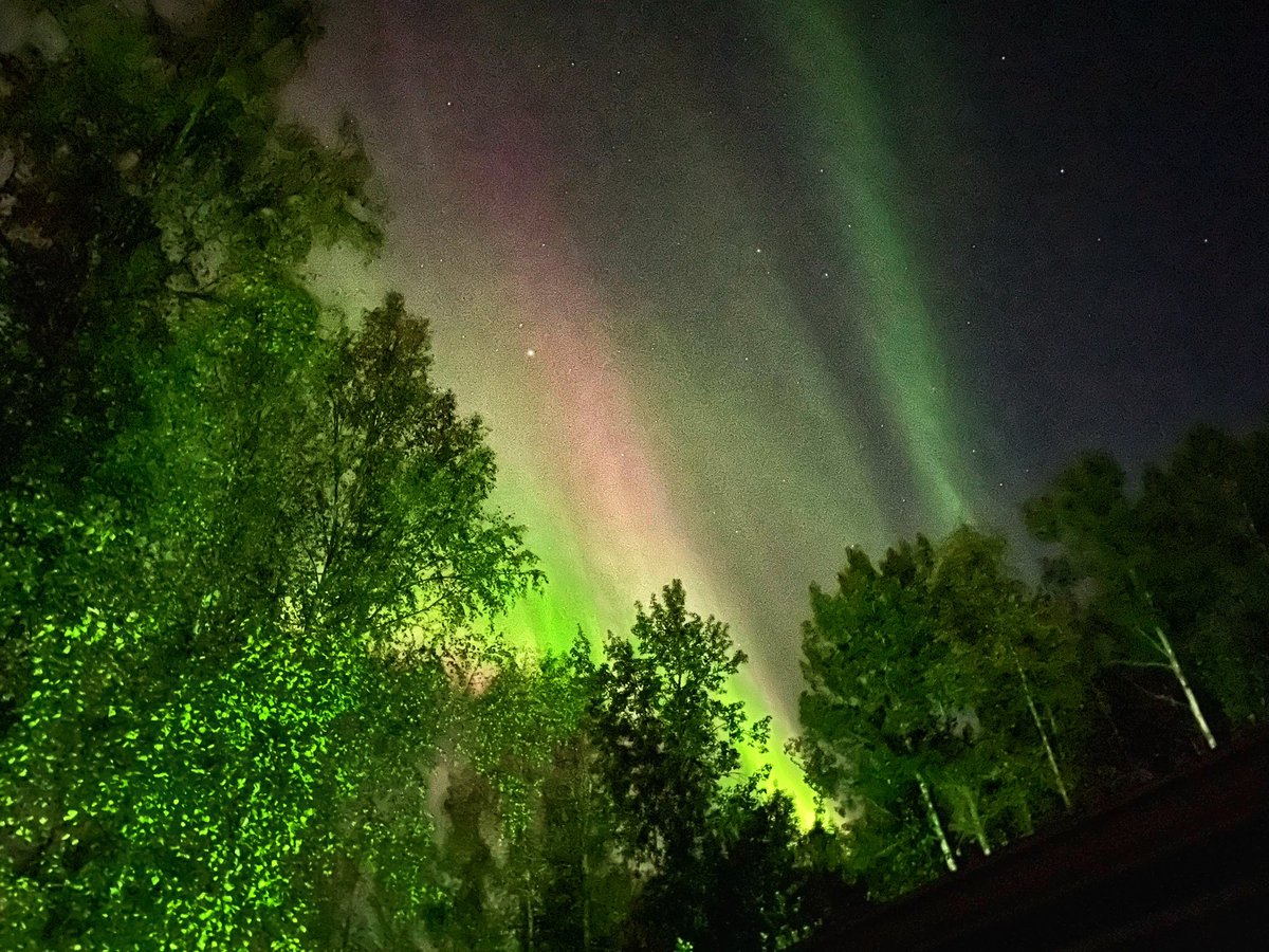 jen44_65's tweet photo. September 2, 2023 in Fairbanks, AK
#northernlights #aurora #auroraborealis #explorefairbanks https://t.co/sZVuj68dXj
