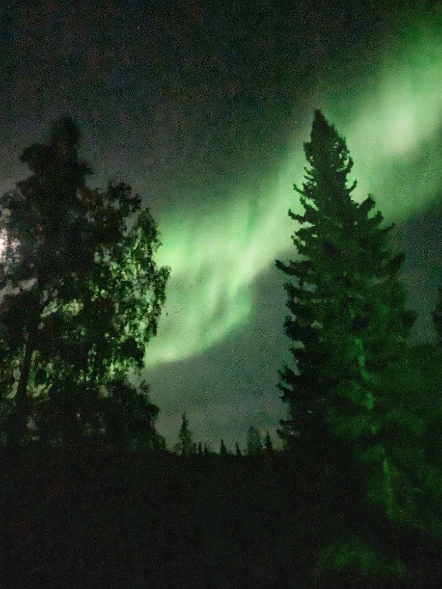jen44_65's tweet photo. Northern Lights over Fairbanks on September 2, 2023. #northernlights #aurora #auroraborealis #explorefairbanks https://t.co/EqJPKhXdRd