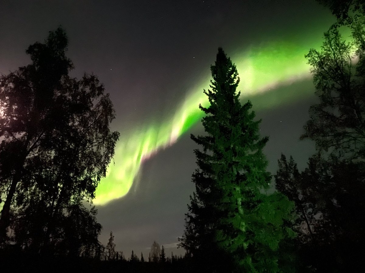 jen44_65's tweet photo. Northern Lights over Fairbanks on September 2, 2023. #northernlights #aurora #auroraborealis #explorefairbanks https://t.co/EqJPKhXdRd