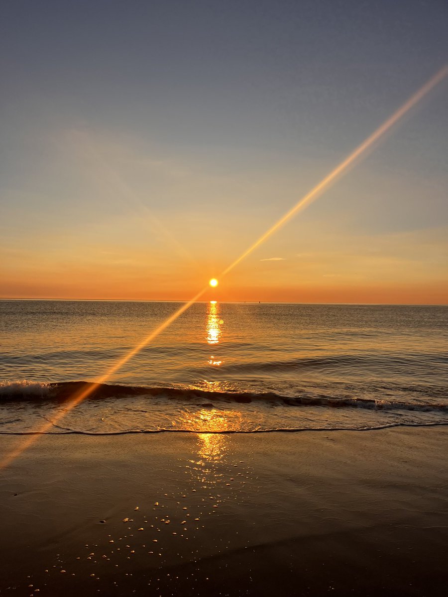 Michelle Beat tweet media