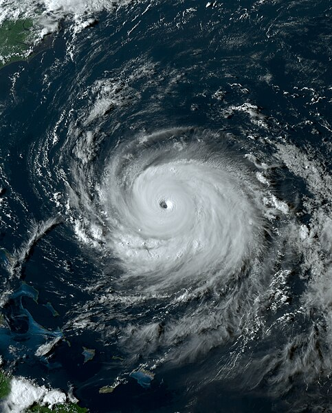 TropicsWeather's tweet photo. THE HURRICANE BEASTS OF AUGUST 🌀

As August 2023 saw a rise in tropical cyclone activity in the Atlantic and East Pacific, the month also saw four powerful hurricanes roaring across the basins: Hurricanes #Dora, #Hilary, #Franklin, and most notably, #Idalia. https://t.co/9R4CbVKoY4