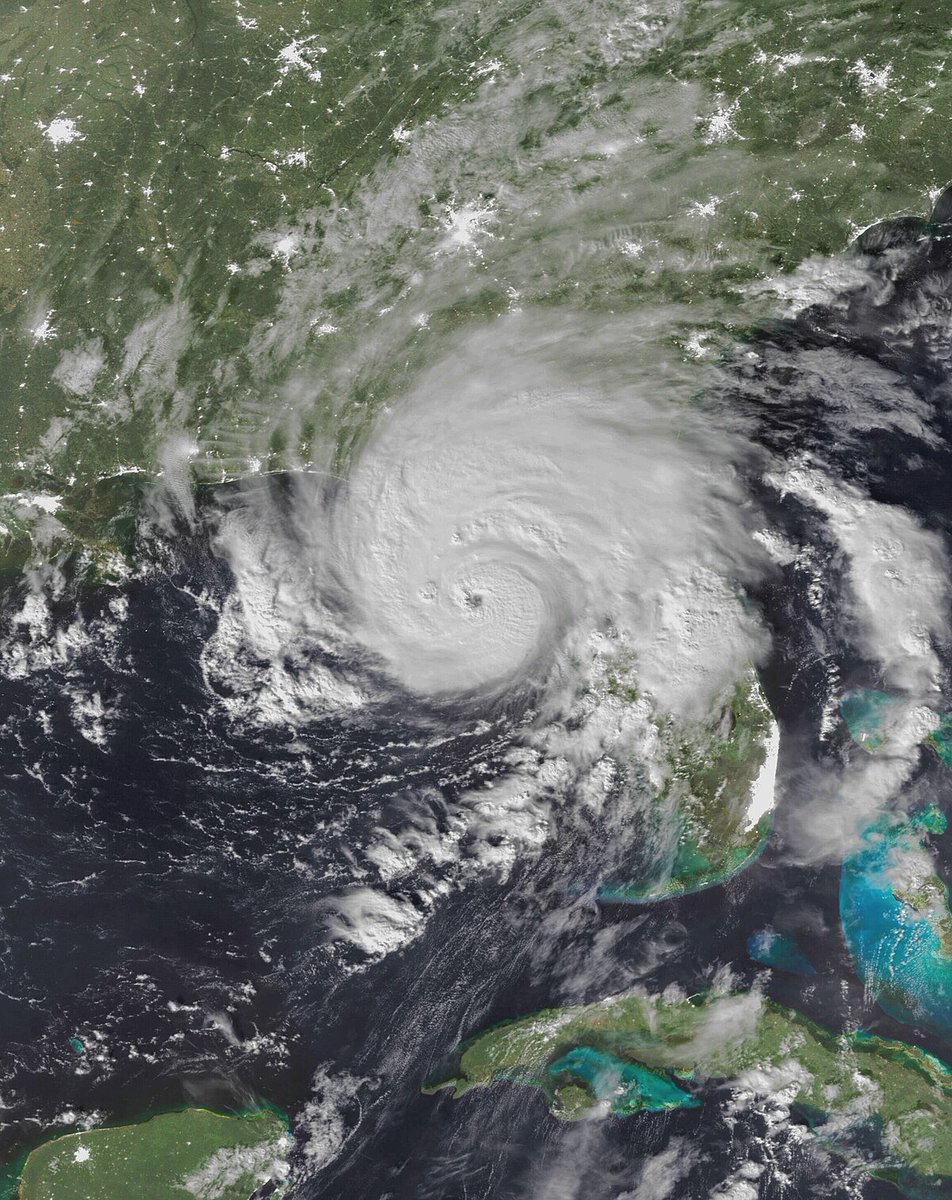 TropicsWeather's tweet photo. THE HURRICANE BEASTS OF AUGUST 🌀

As August 2023 saw a rise in tropical cyclone activity in the Atlantic and East Pacific, the month also saw four powerful hurricanes roaring across the basins: Hurricanes #Dora, #Hilary, #Franklin, and most notably, #Idalia. https://t.co/9R4CbVKoY4