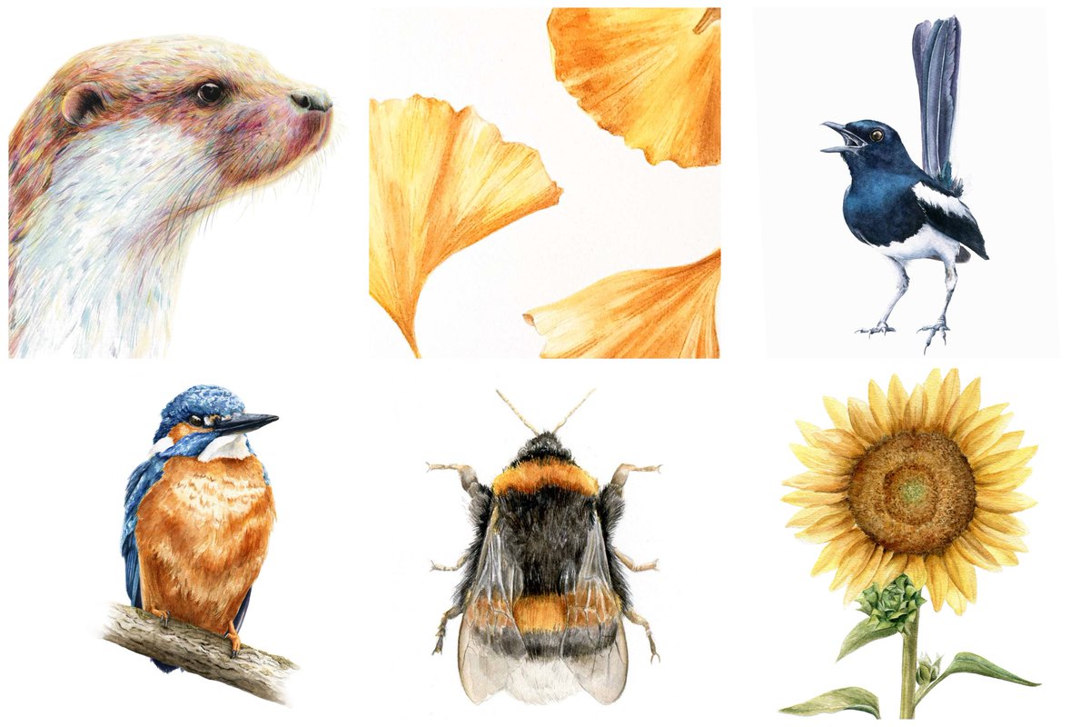 🗣 Vandaag is de laatste dag van mijn ✨️Atelier Sale✨️ om ruimte in mijn map en hoofd te maken en me hopelijk de mogelijkheid te geven om meer vrij en experimenteel werk te maken de komende tijd.

vanjojan.nl

Delen is fijn! Dank voor je steun en fijne dag 🥰