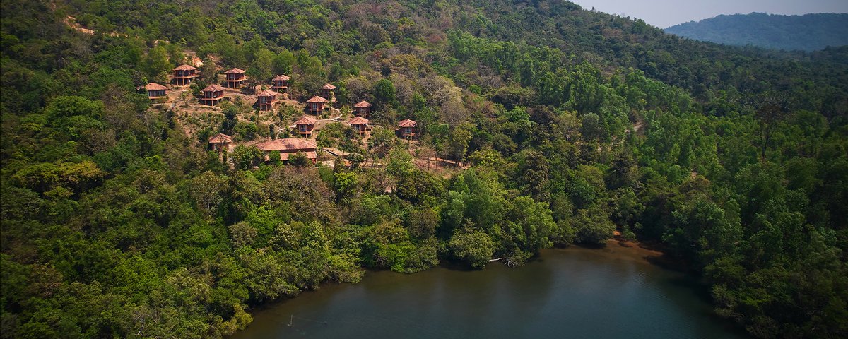 jungle_lodges's tweet photo. Tucked away in a quite forested area, Sharavathi Adventure Camp is the perfect place for one looking to get away from the hustle and bustle of city life.
#junglelodgesjlr #travel #resort #adventure #jogfalls #backwaters #karnataka #weekendgetaway #lpmi #ifoundawesome https://t.co/dv8yT6W21F