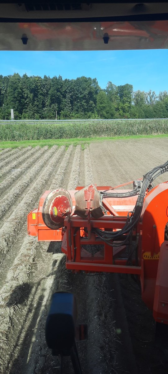 Aardappeloogst weer begonnen