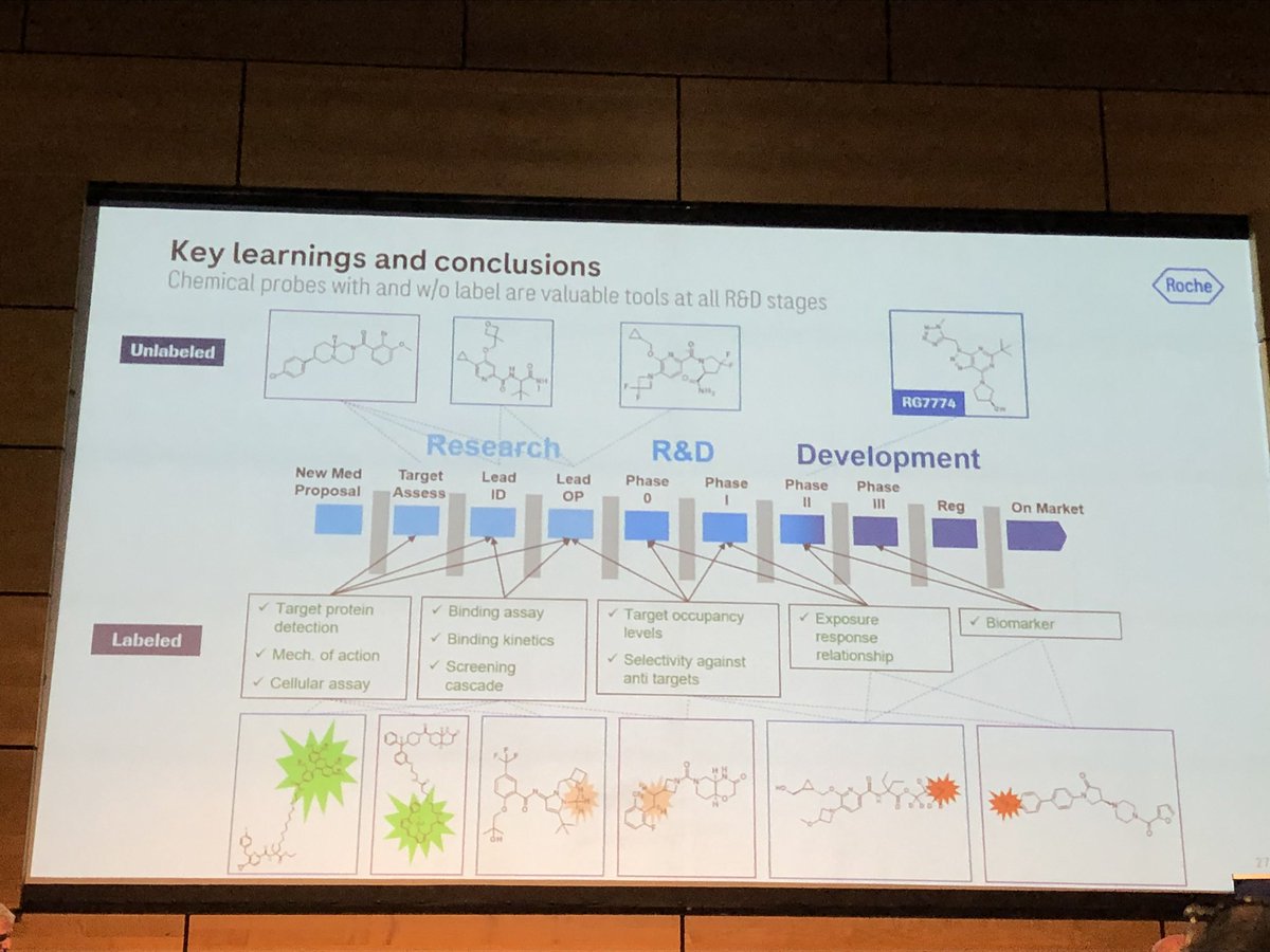 HartungIngo's tweet image. Uwe Grether @Roche discussing at #EFMCASMC23 how chemical probes enabled drugging the #endocannabinoid system: from CB2R agonism (diabetic retinopathy) to MAG lipase inhibition (pain). @EuroMedChem