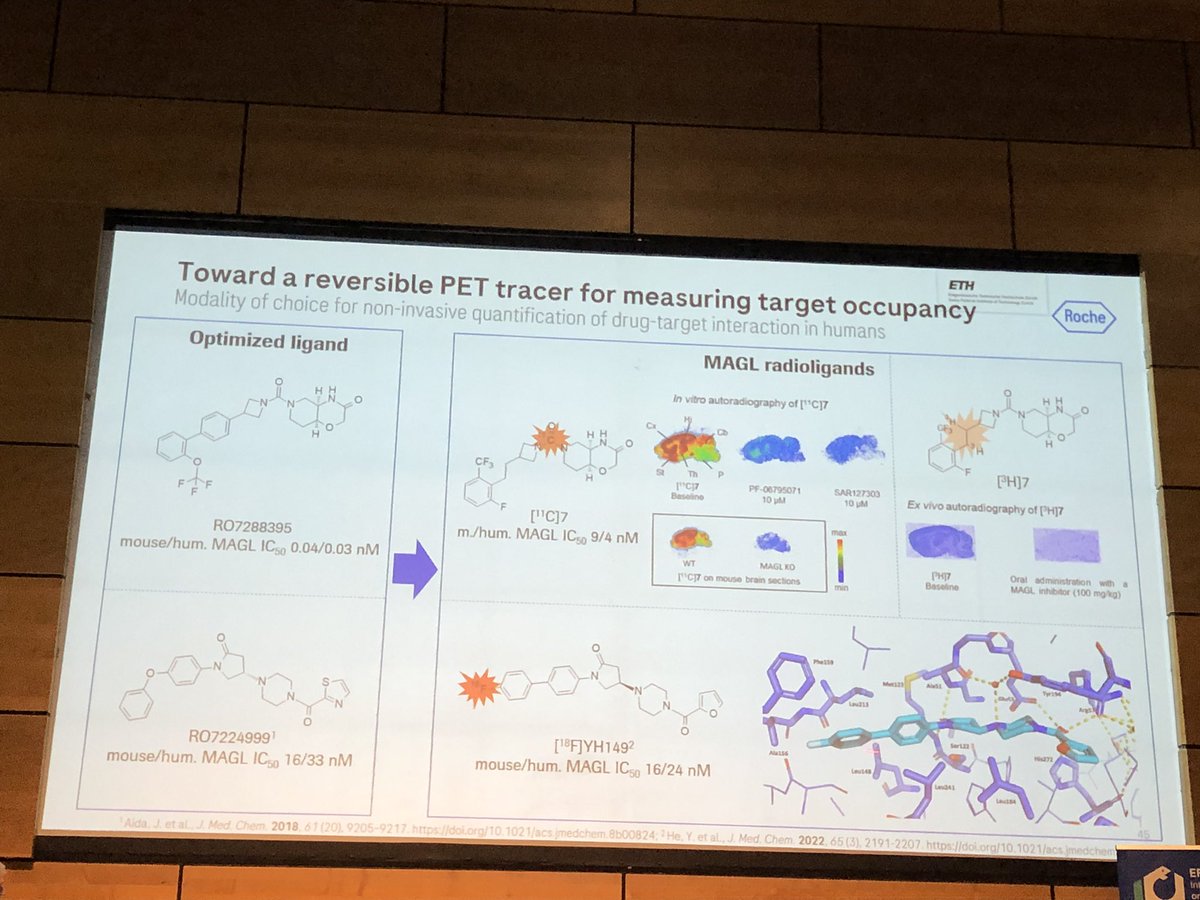 HartungIngo's tweet image. Uwe Grether @Roche discussing at #EFMCASMC23 how chemical probes enabled drugging the #endocannabinoid system: from CB2R agonism (diabetic retinopathy) to MAG lipase inhibition (pain). @EuroMedChem