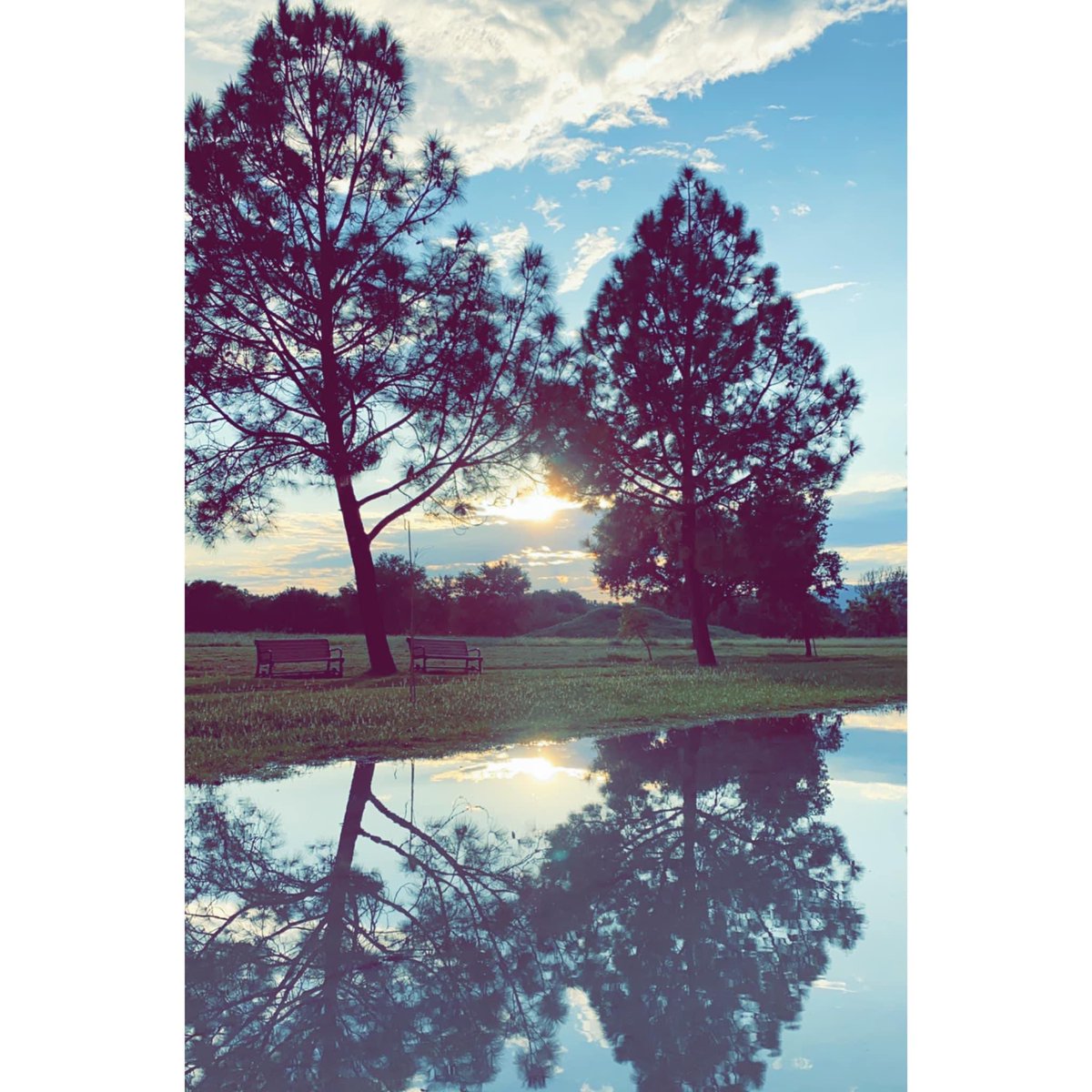 rezzalyshah's tweet photo. Beautiful Post Rain Park .. 🌲 #PhotobyRezz https://t.co/UTSVy0Dk87