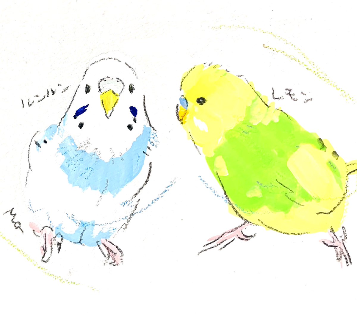 「オーダーイラストのご紹介 2羽の楽しげなセキセイインコさん #小鳥のアートフェス」|オクムラミチヨのイラスト