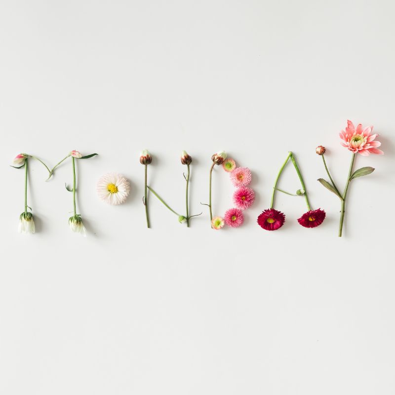 Hello! We are drafting new contracts for a large employer which will keep us busy. We don’t just draft the initial style contracts but can draft each individual one with the specific employee details. Please get in touch if this sounds like something your business needs.