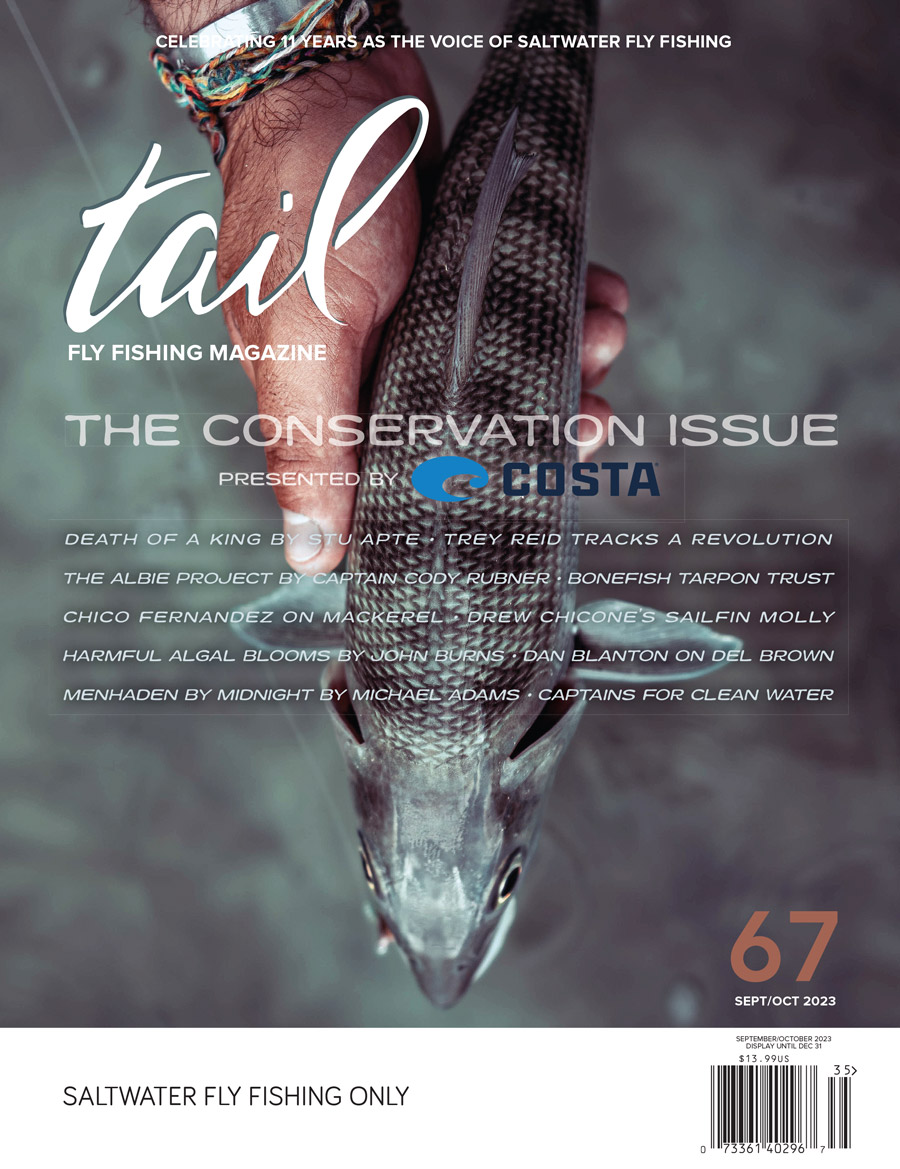 TailFlyMag's tweet photo. https://t.co/fIQcd5e3Q0 https://t.co/mANnp4Xrfb