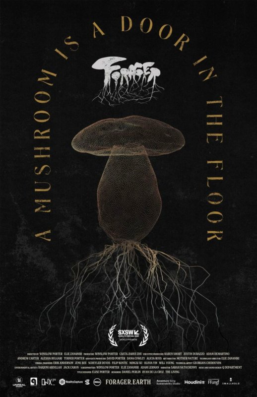 XRMust 💫 tweet media