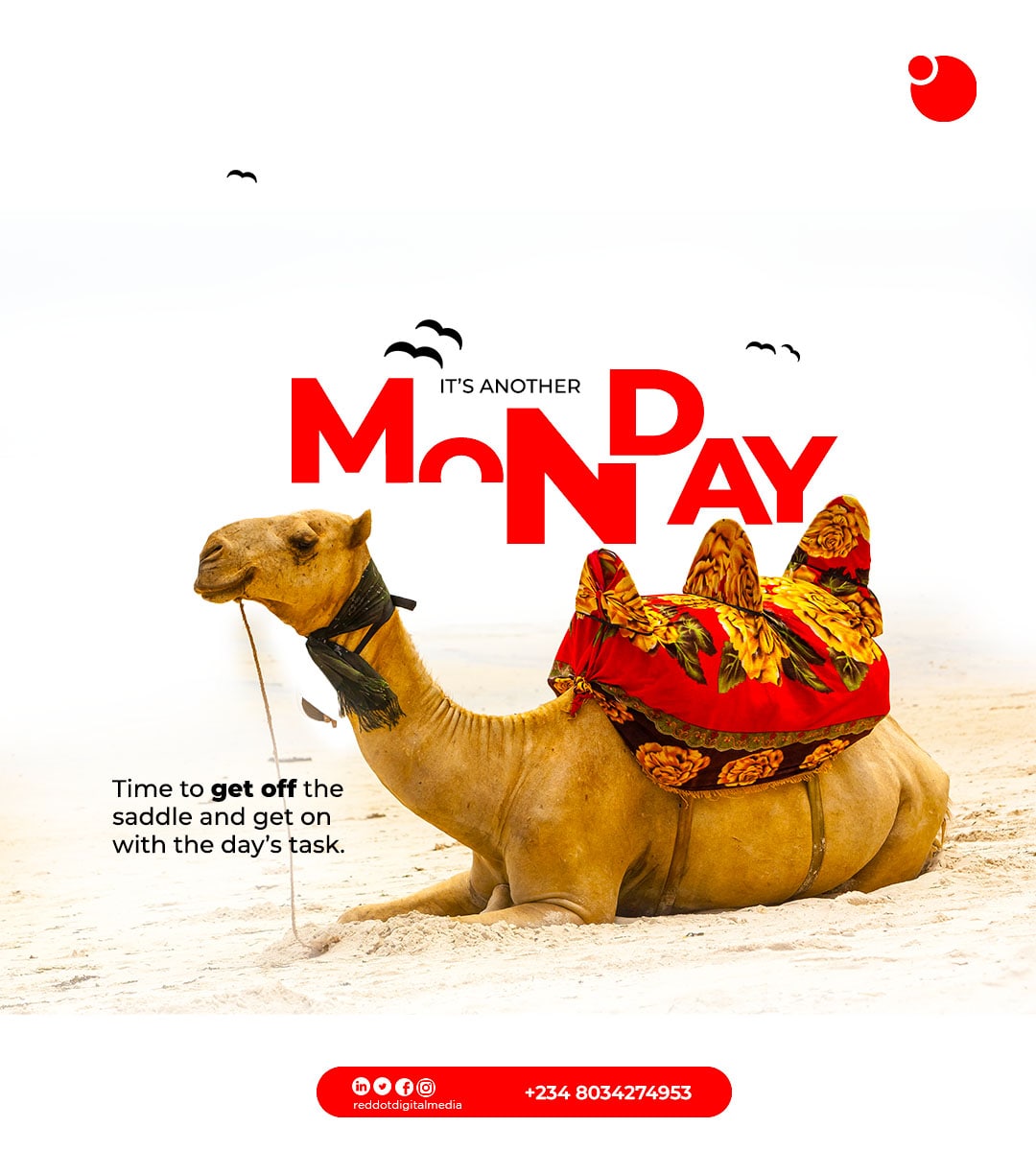 Get off your Saddle ... and move on with the TASK of the day. The approach may be different but the Goal has to always be the same. It's a Monday, go smash it. #monday #riverstate #Odumodu #mondaymotivations💪 #quotes #reddotdigitalmedia #design #logodesigns #buga #boyalone